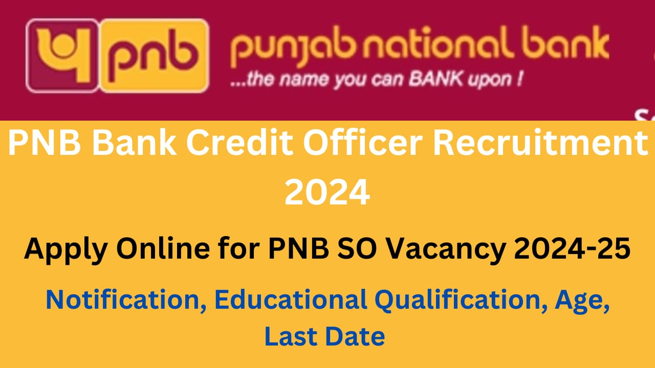 PNB Bank Credit Officer Recruitment 2024
