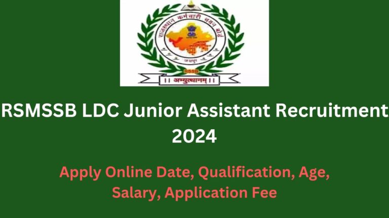 RSMSSB LDC Junior Assistant Recruitment 2024